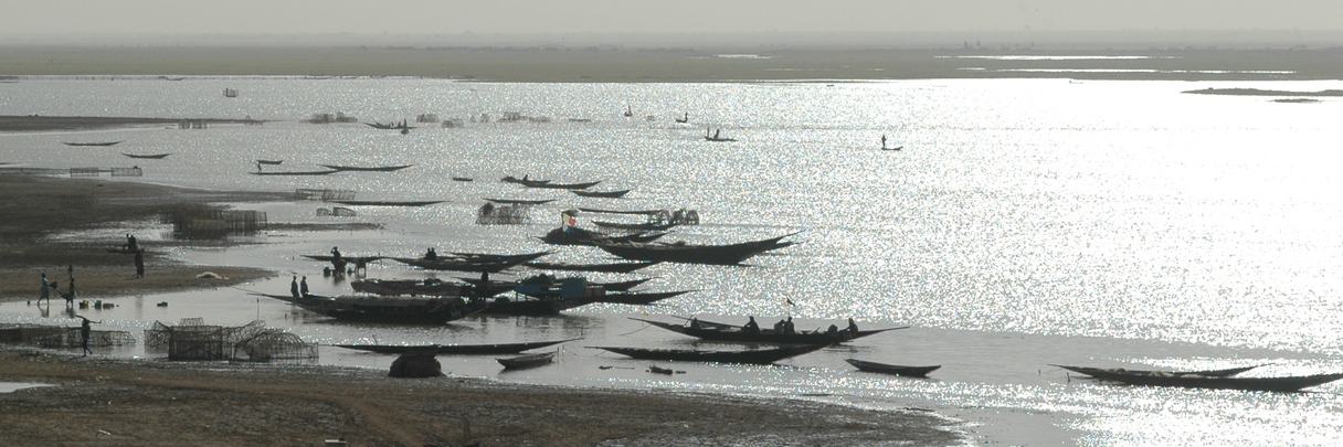Pirogues dispersées sur un large fleuve, vues depuis un point élevé.