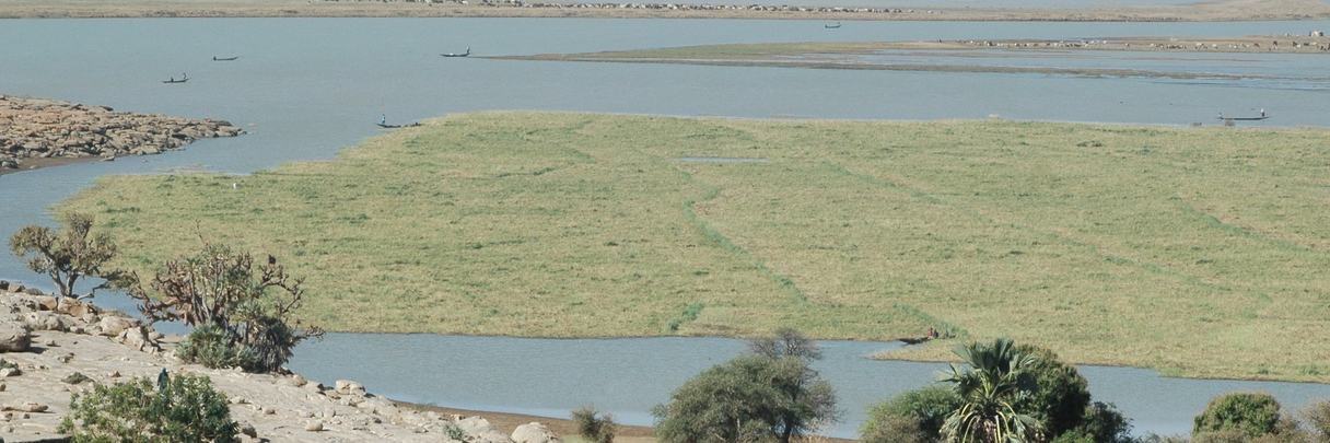 Vaste plaine inondable du delta, avec ses oiseaux d'eau.